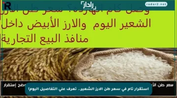 استقرار تام في سعر طن الأرز الشعير.. تعرف على التفاصيل اليوم!